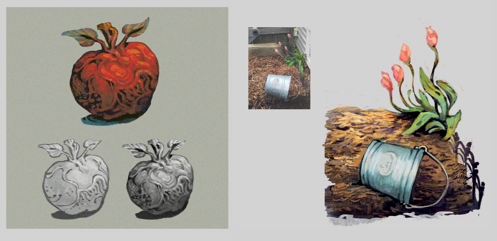 studies
