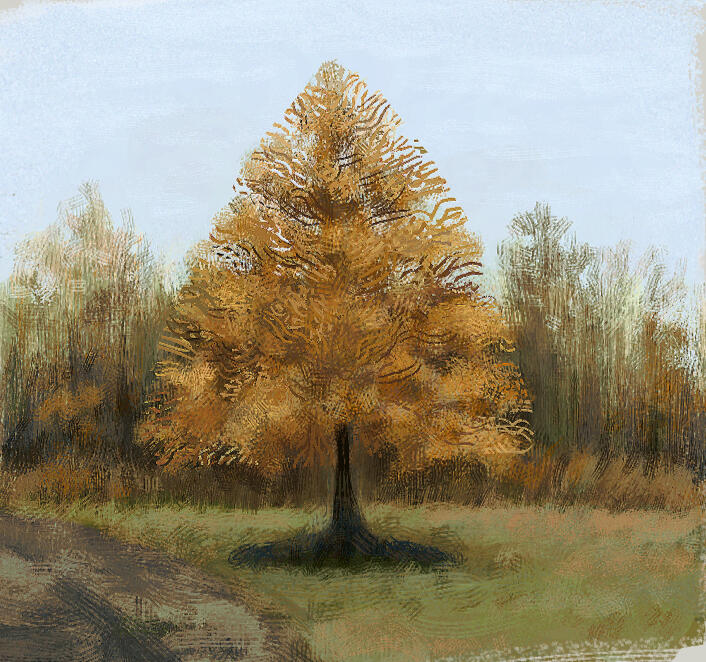 study
